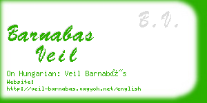 barnabas veil business card